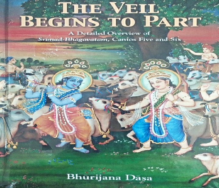 [ENG0VB] The Veil Begins to Part : English